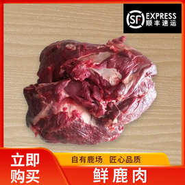 新鲜鹿肉5斤装鹿肉厂家批发鲜鹿肉肉质细腻新鲜鹿肉可代发