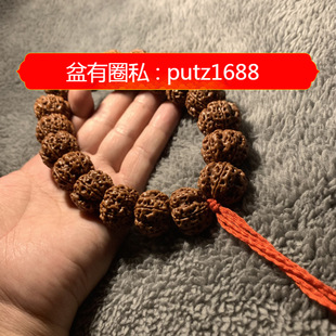 �����ִ��з������������l�M��������l�����������������