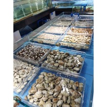 花甲吐沙盒超市篮子花甲漏沙盒子贝类花蛤塑料透明蓝色白色