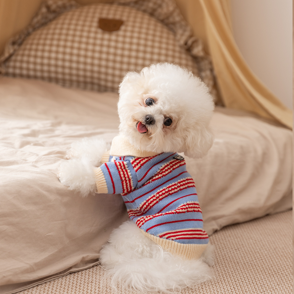 Nuevo otoño y invierno perros pequeños y medianos peluche mascotas collares de color correa polo suéter de dos patas ropa de perro y gato image 4