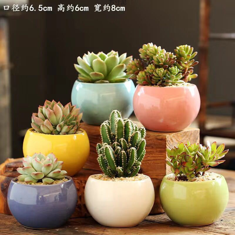 Succulent Flower Pots, Ceramic Breathable Coarse Pottery Pots, Large Diameter Pots for Succulents, Small Flower Pots, Factory Wholesale