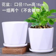 ̖մɎбPMϼþGɫ̨҃G}Gֲû