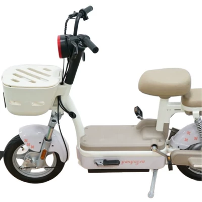 Steel Electric Vehicle: Diàndòngchē Auto Parts and Accessories