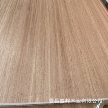 ľֱƴҎҾľbތľb匍ľ