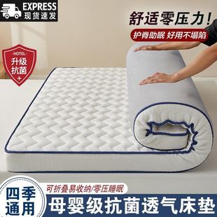 Four Seasons Mattress Cushion Home Bedroom Sponge Cushion Special for Student Dormitory Single Mattress
