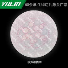 ޼�J���M�и�У�t�WԺУ�ýM������ʯϞ��Ƭ�˱��@΢�R