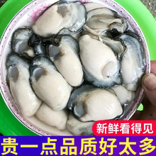 ���r������r��F��ȥ�����r��ʳ��Ϡ��ĵϠ��1000G���]