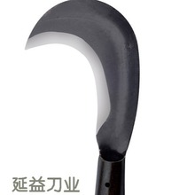 �S��ֱ�N�������ơ��o�����313�i䓸�����������r�ù������l