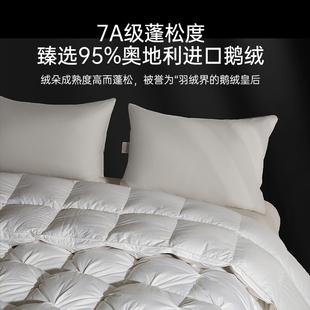 W1TR Hungary White Goose Down Quilt Five Hotel Down Spring and Autumn Quilt Core Home Summer Quilt Warm