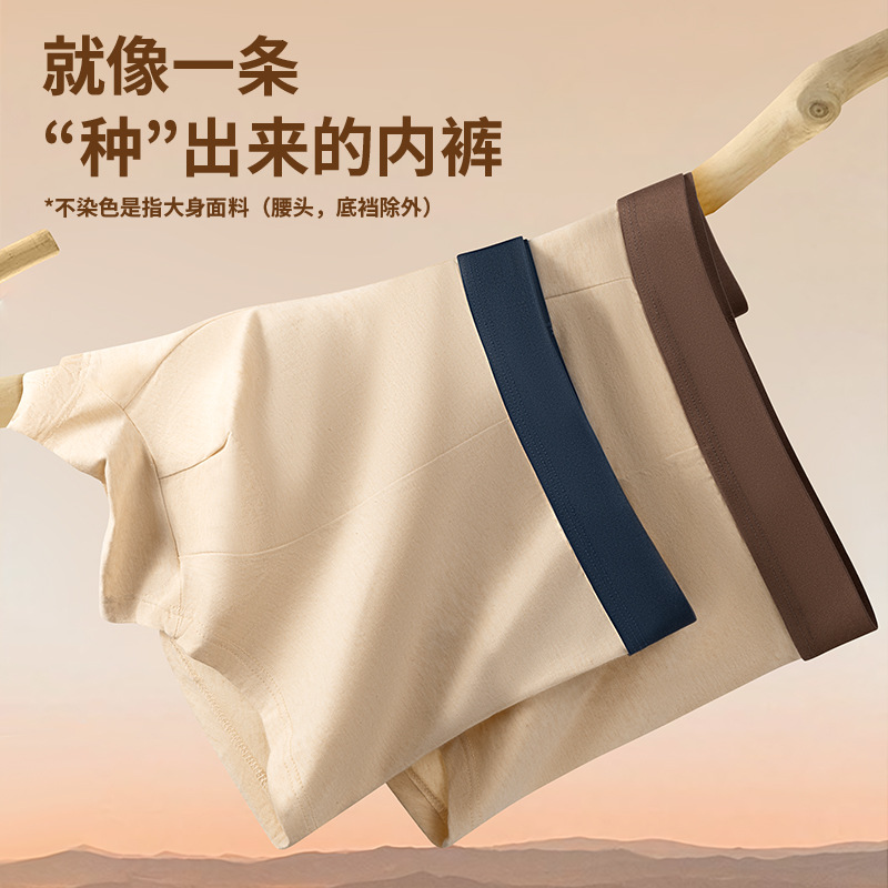 Nuevos productos de algodón para hombres, algodón de clase A, elástico, cómodo, no sofocante, no impresión y teñido, algodón de color para hombres.