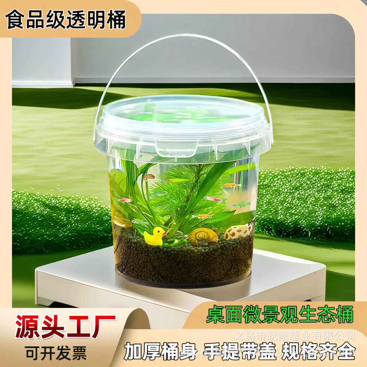 透明手提养鱼桶学校生物科学微景观生态桶食品级塑料儿童观赏鱼桶