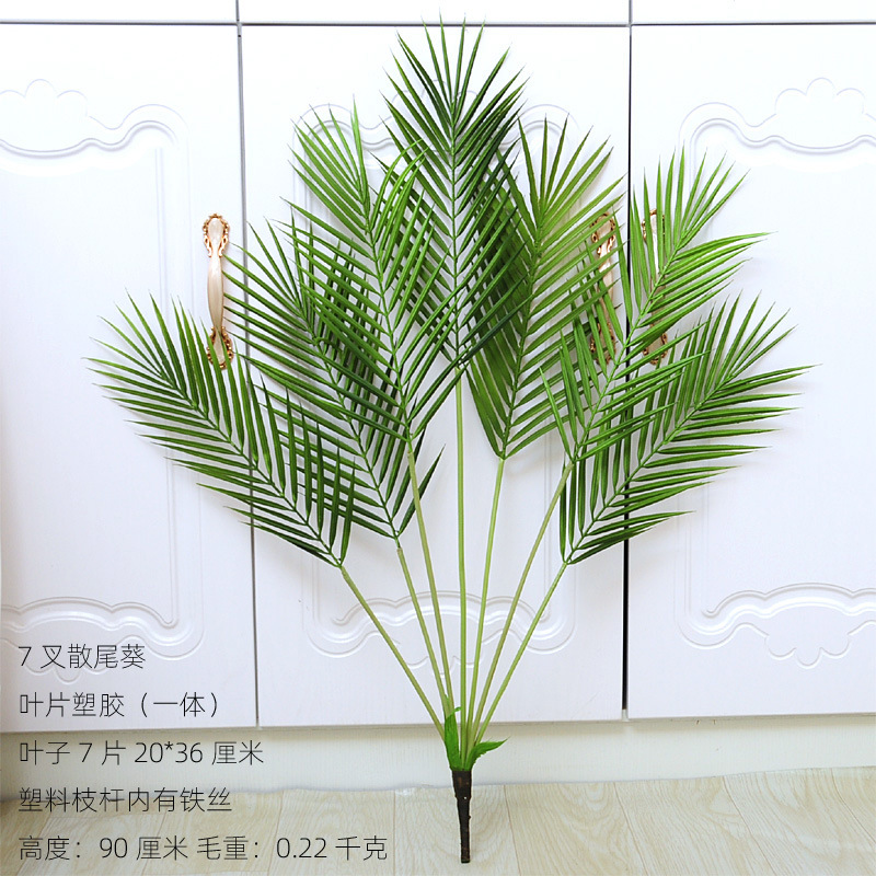 7叉散尾葵..6.8元