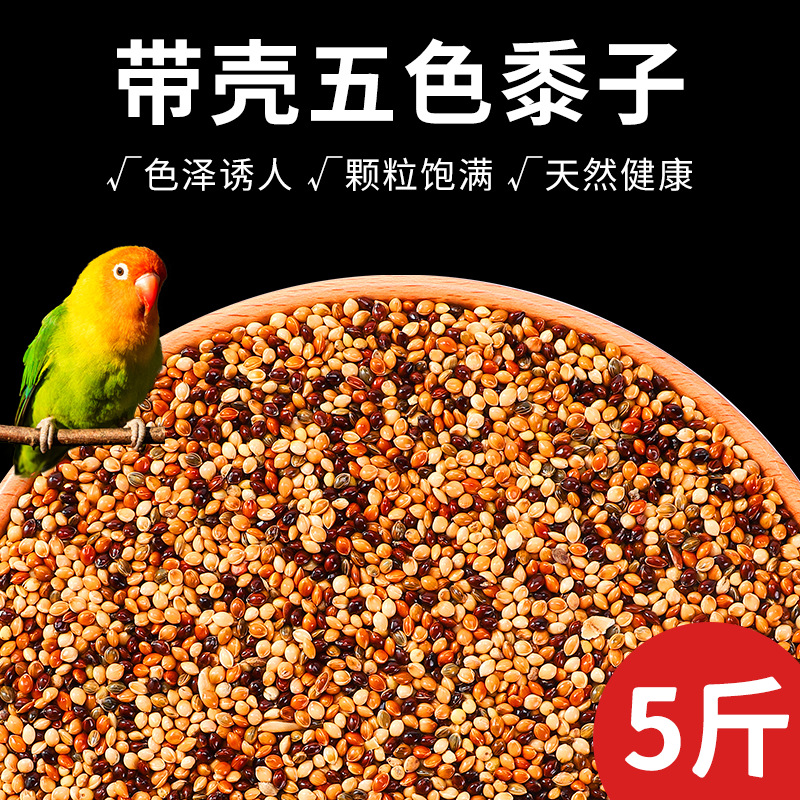 2501g 5 색 기장 5kg