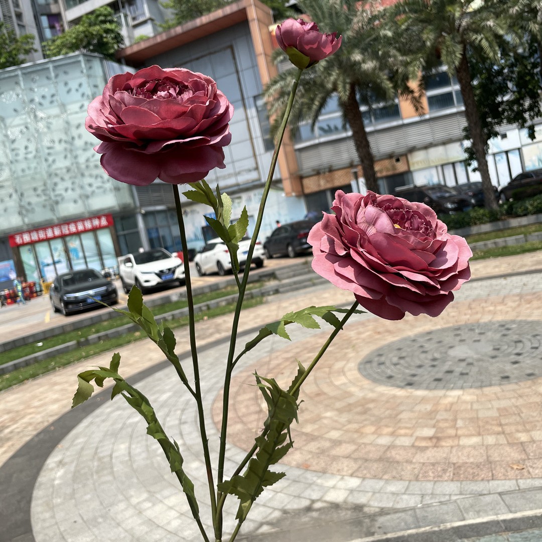 3-cabeza estilo francés gran extremo abierto otoño rojo