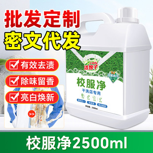 School Uniform Net Active Oxygen Explosive Salt Color Bleaching Powder Bubble Washing Powder Socks Bleaching Dyeing Fixed Color Anti-cross Color Turn