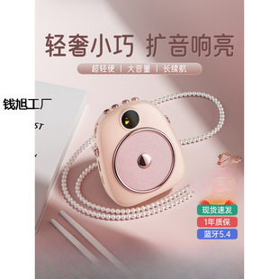 655 Bee Loudspeaker Teacher Lectures Wireless Ear Microphone Guide Horn Speaker