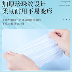 Portable down jacket wet wipes 12-piece set, oil-stain remover, wash-free wet paper towels, clothing dry cleaner, down jacket cleaner