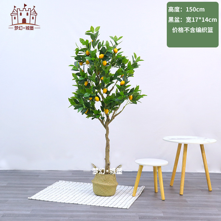 Limón 150CM