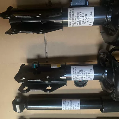 absorber assemblies for – damping system