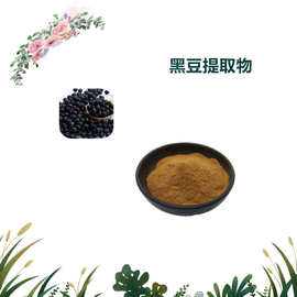 沃特莱斯生物 黑豆蛋白 水溶性粉末 黑豆粉 厂家直供 现货