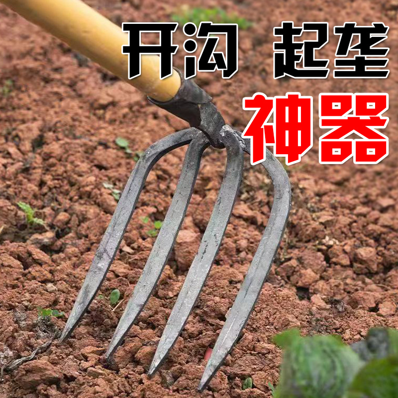 微信图片_20231002014515