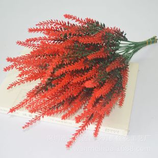 ��Ʒ�羳����޹�²ݼ�ֲ����湷β�ݹ��̲廨ˮ�����ϻ������b�