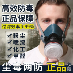 防毒マスク放毒マスク塗装農薬化学工業内装ガスホルムアルデヒド防塵防護マスク通気クロスボーダー