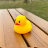 No. 8 duck yellow