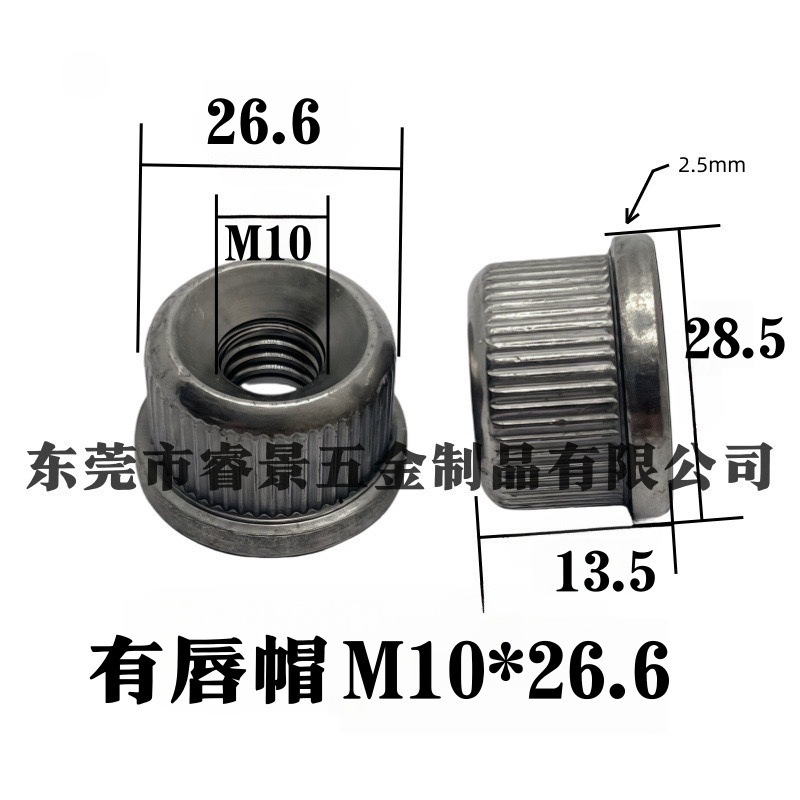 鉄製の口金管内蔵物棚 鉄管ディスプレイスタンド 直線形円錐底栓付属品 丸管内ネジM6M8|undefined