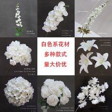 ��ɫ���Ļ�c���������Ļ�Y�õ���b��ٻ����T���廨��ˇ