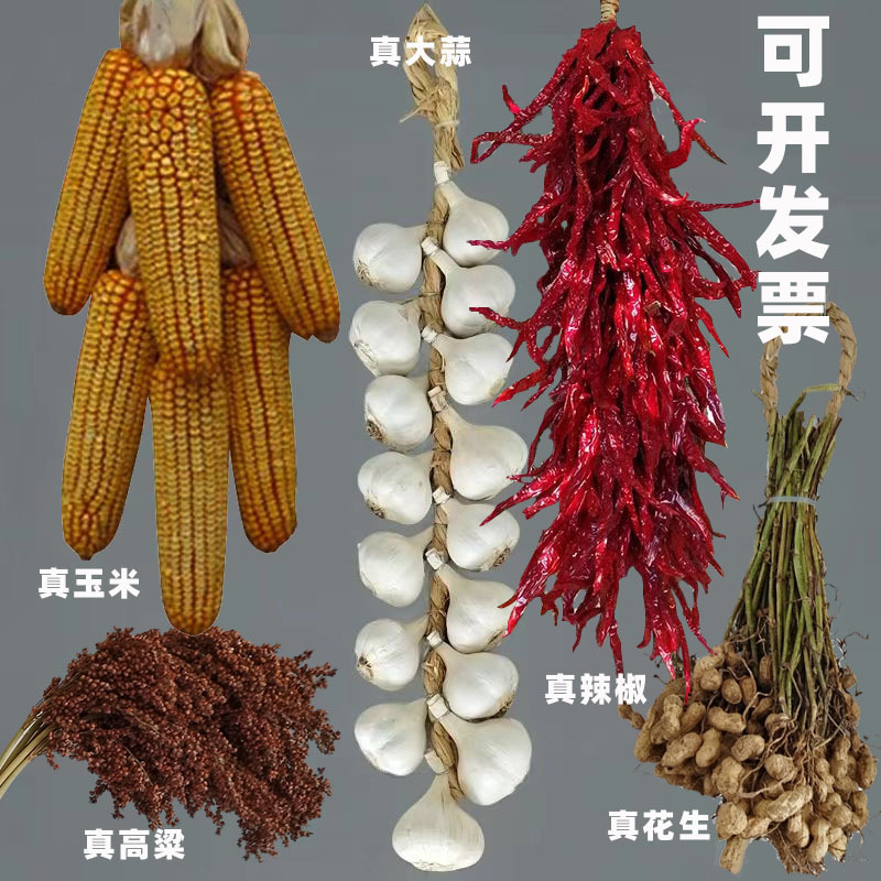 五谷丰登挂饰大蒜真玉米高粱干红辣椒串挂件农作物杂粮穗装饰教学