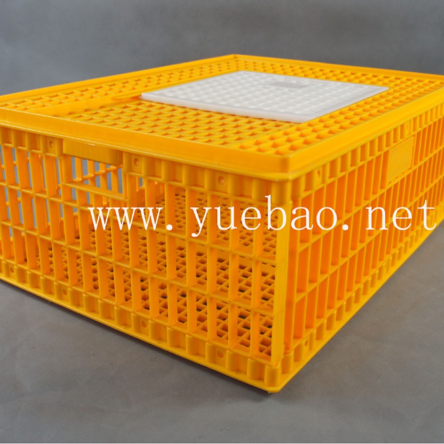粤宝厂家直销 塑料方型鸡笼 塑料鸡运输笼 成鸡周转筐 CA07