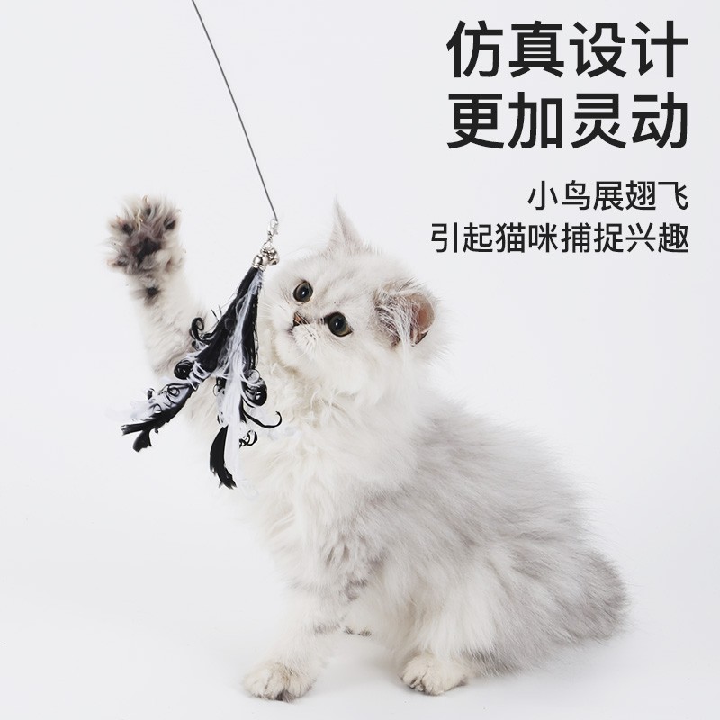 猫面白いスティック 1.8 メートル 4 セクション伸縮ロッドフェザーベル交換ヘッド猫のおもちゃ自己楽しみ退屈解消耐性のあるペット用品|undefined