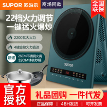 �K����늴Št2200W���ؐa��22�n�����{��10H���r�زʴ���C22-IH28