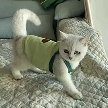 �������؈��ѩ�{��̩�Ϲ��������·������b����͸��������ĳ���