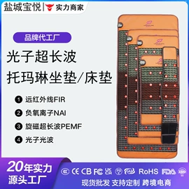 功能床垫;电热护膝护腰;按摩枕/靠垫