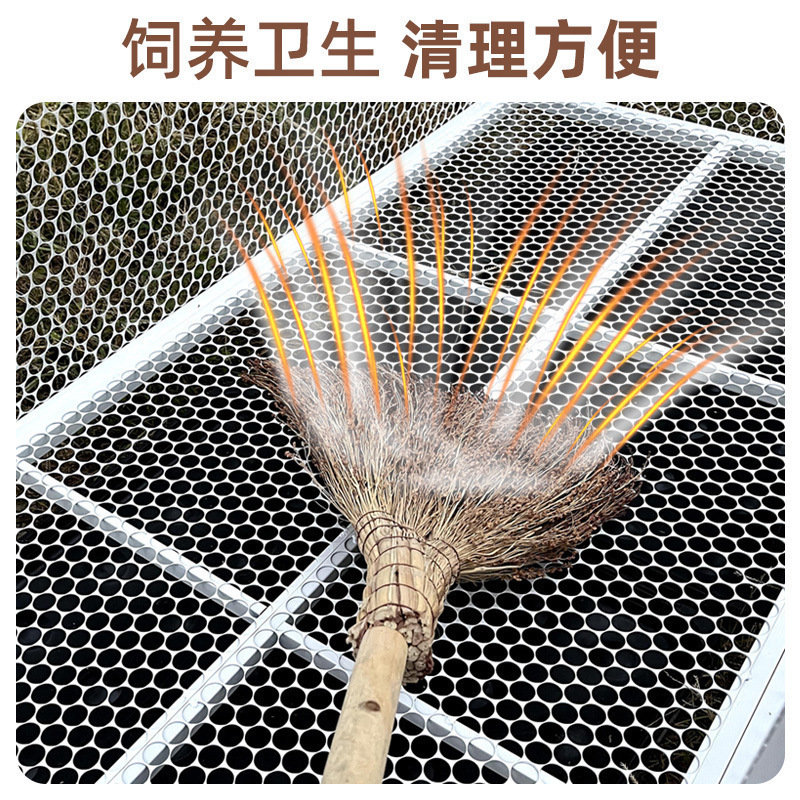 Jaula de gallinas de cría de gallinas