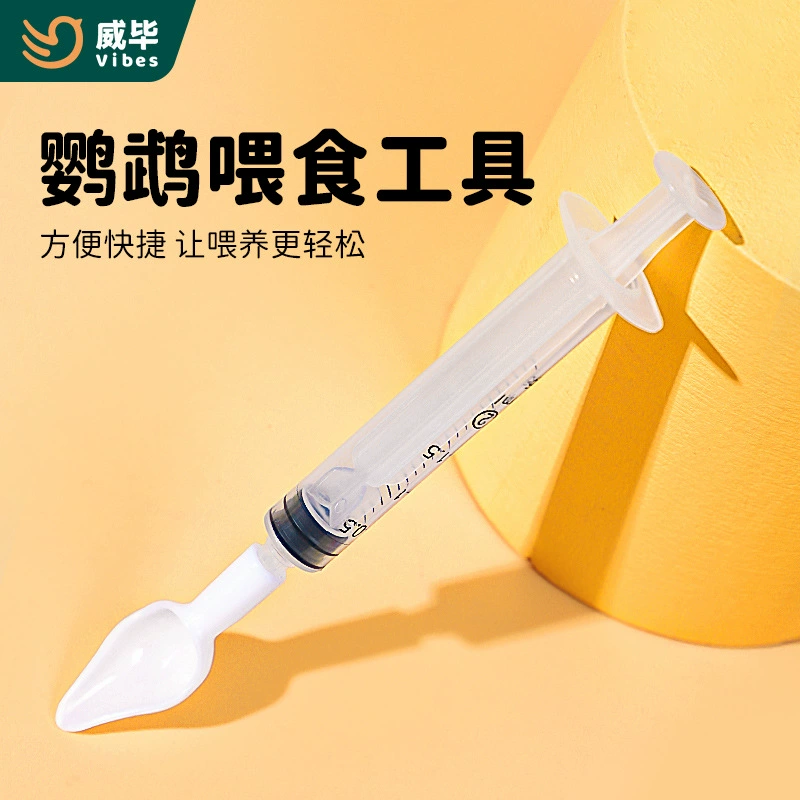 Попугай птицы птенцы птенцы кормят сухим молоком