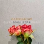 清水一体工业水性水泥漆