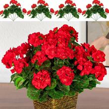 ���R�d������N���溣�Ļ��ٻ��Ҿӑ����b����컨���ÿ��z��1