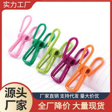 彩色不锈钢夹子代发晾衣服固定器衣架书夹防风防夹子【承接代发】