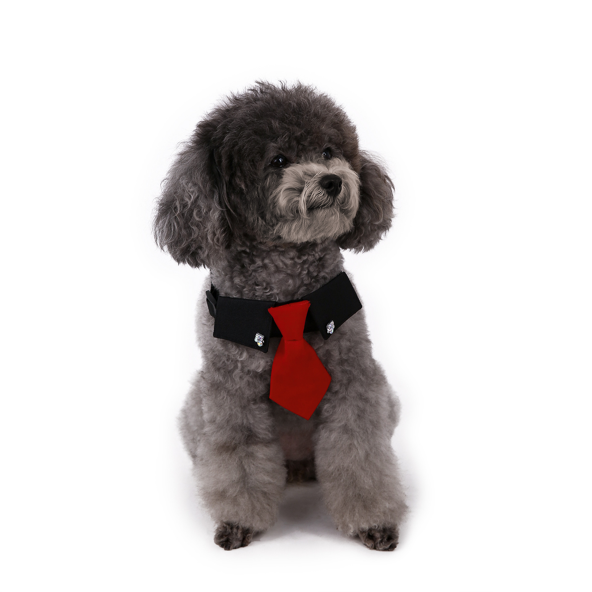 Perro transfronterizo estilo británico guapo traje de boda ropa de perro corbata collar decoración al por mayor
