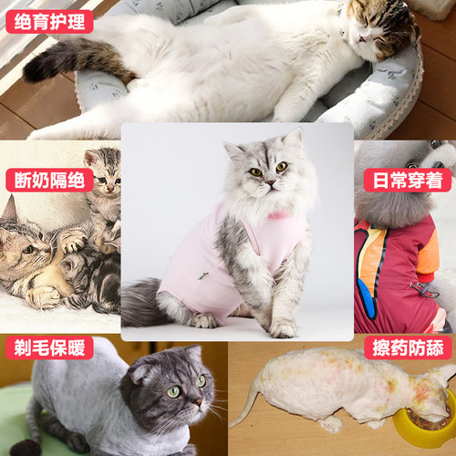 Surgical gown for cats, post-operative sterilization clothing, anti-licking and shedding pet apparel, summer universal for cats and dogs, small dog menstrual pants wholesale