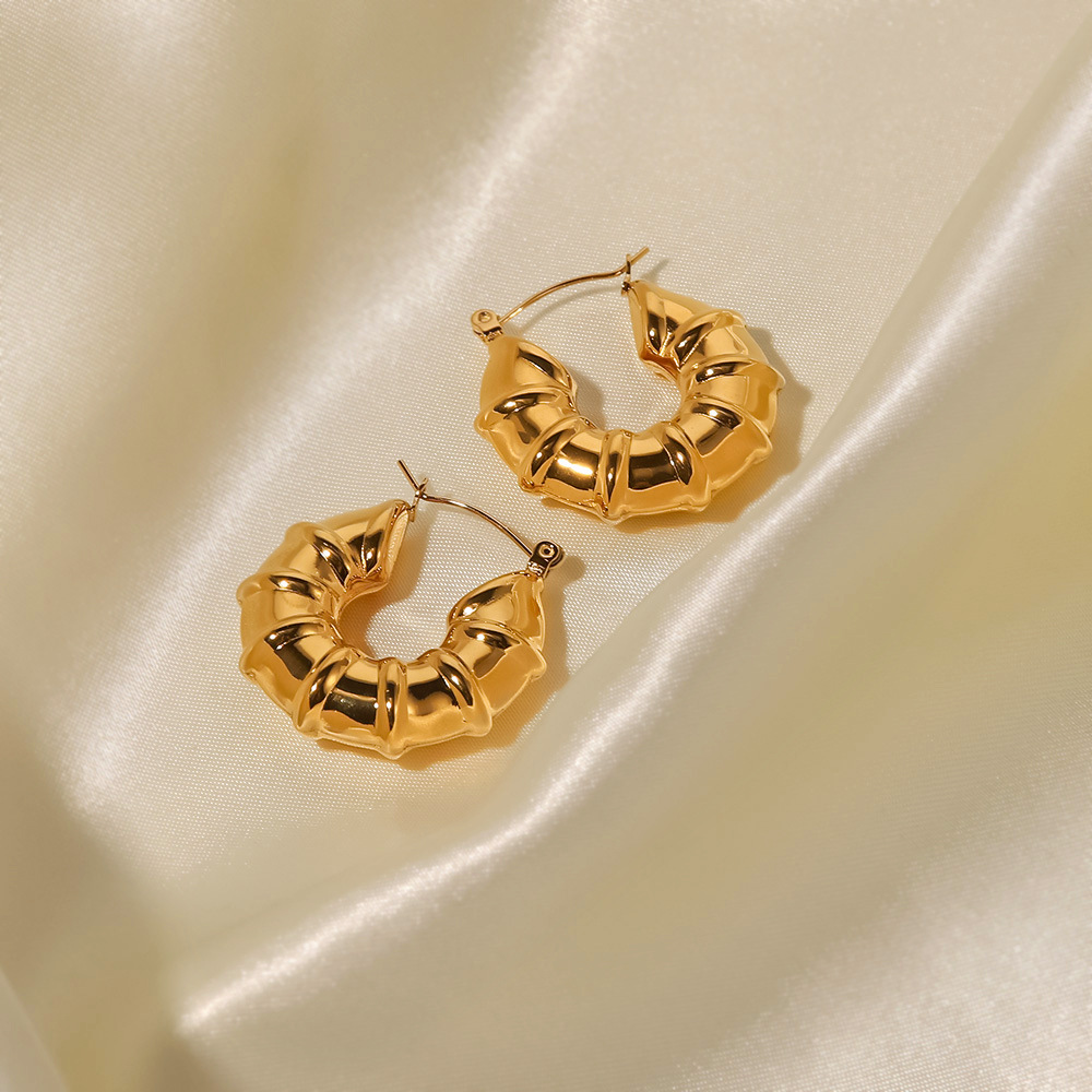 Fashion Geometric Stainless Steel Earrings Gold Plated Stainless Steel Earrings