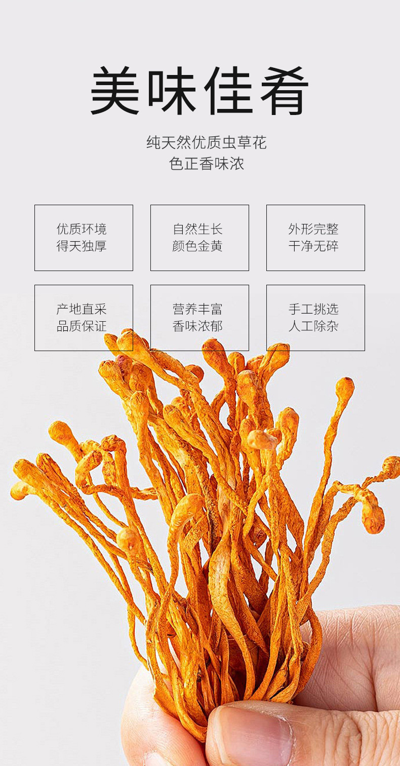 Dried Cordyceps Flower Sporocarp for Soup Premium Selected 150g key features