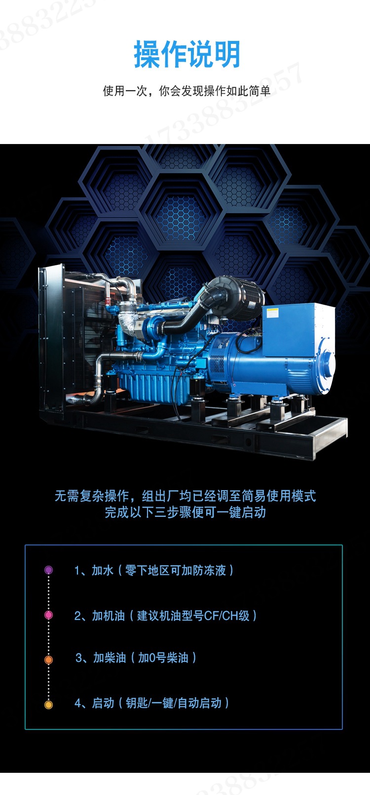 潍柴股份汽油发电机组10