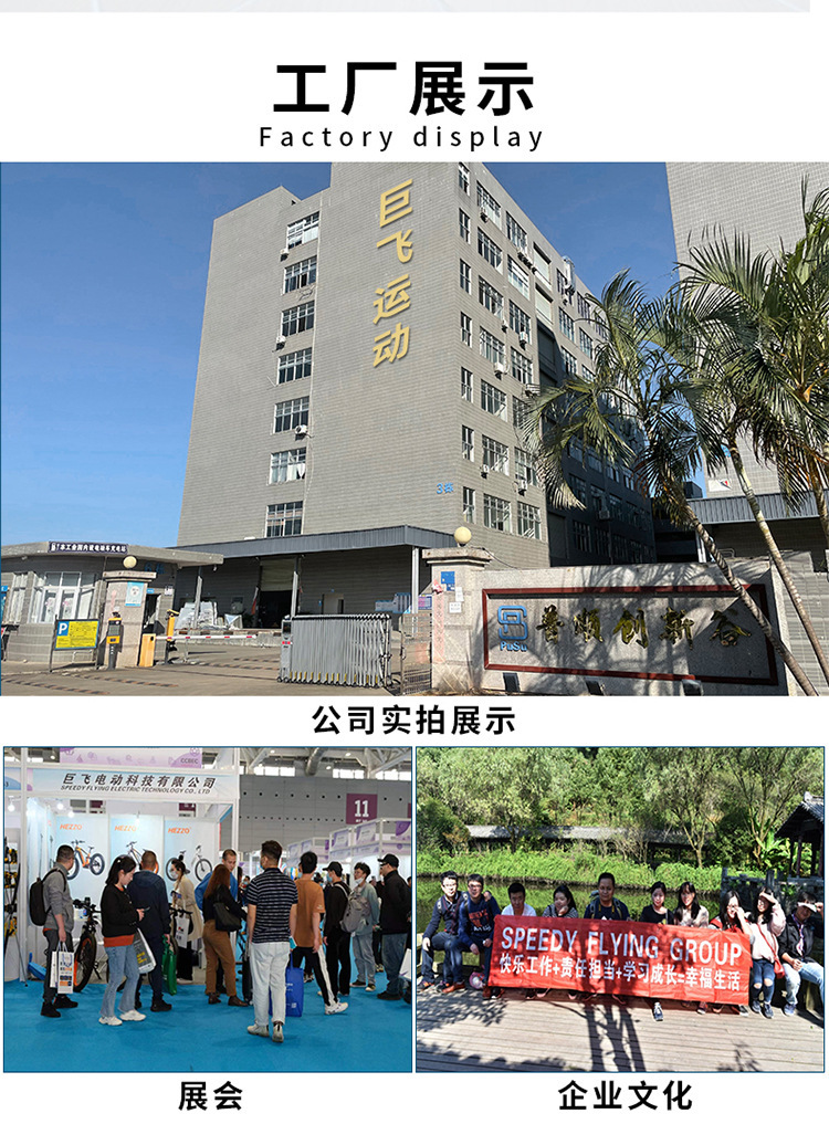 Cross-Border Wholesale Folding Electric Bicycles, Power-Assisted Lithium Battery Electric Vehicles, Adult Commuter Vehicles for Men and Women