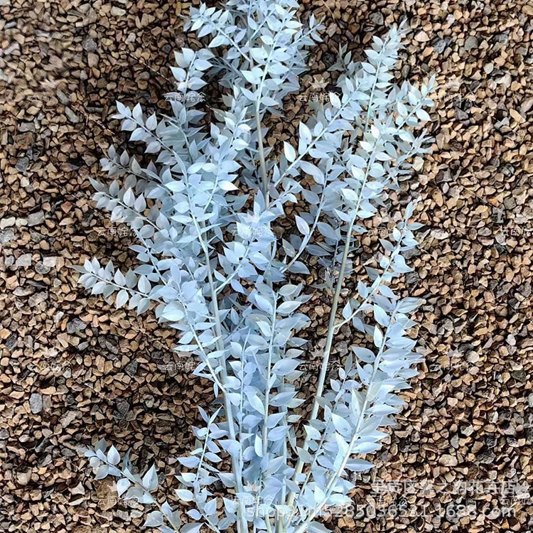 【약 55그램】하늘색