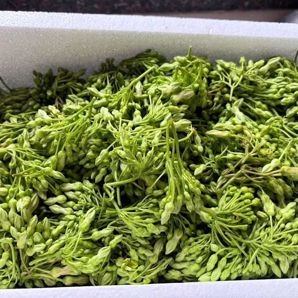 夜香花新鲜食用顺丰便宜云南当季蔬菜可食用花特色菜新鲜采摘3斤