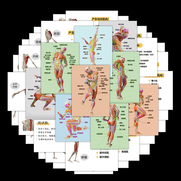 Physiological sticker
